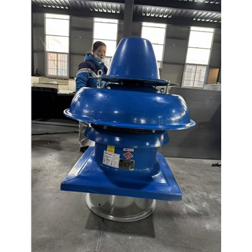 玻璃鋼離心屋頂風(fēng)機(jī)